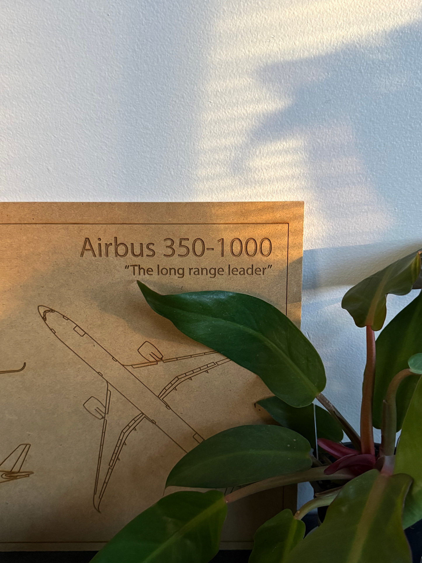 Airbus 350-100