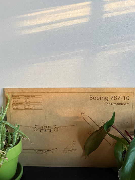 Boeing 787-10 "The Dreamliner"